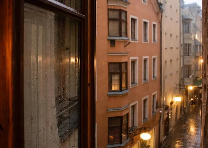 Dengg Down Town Deluxe